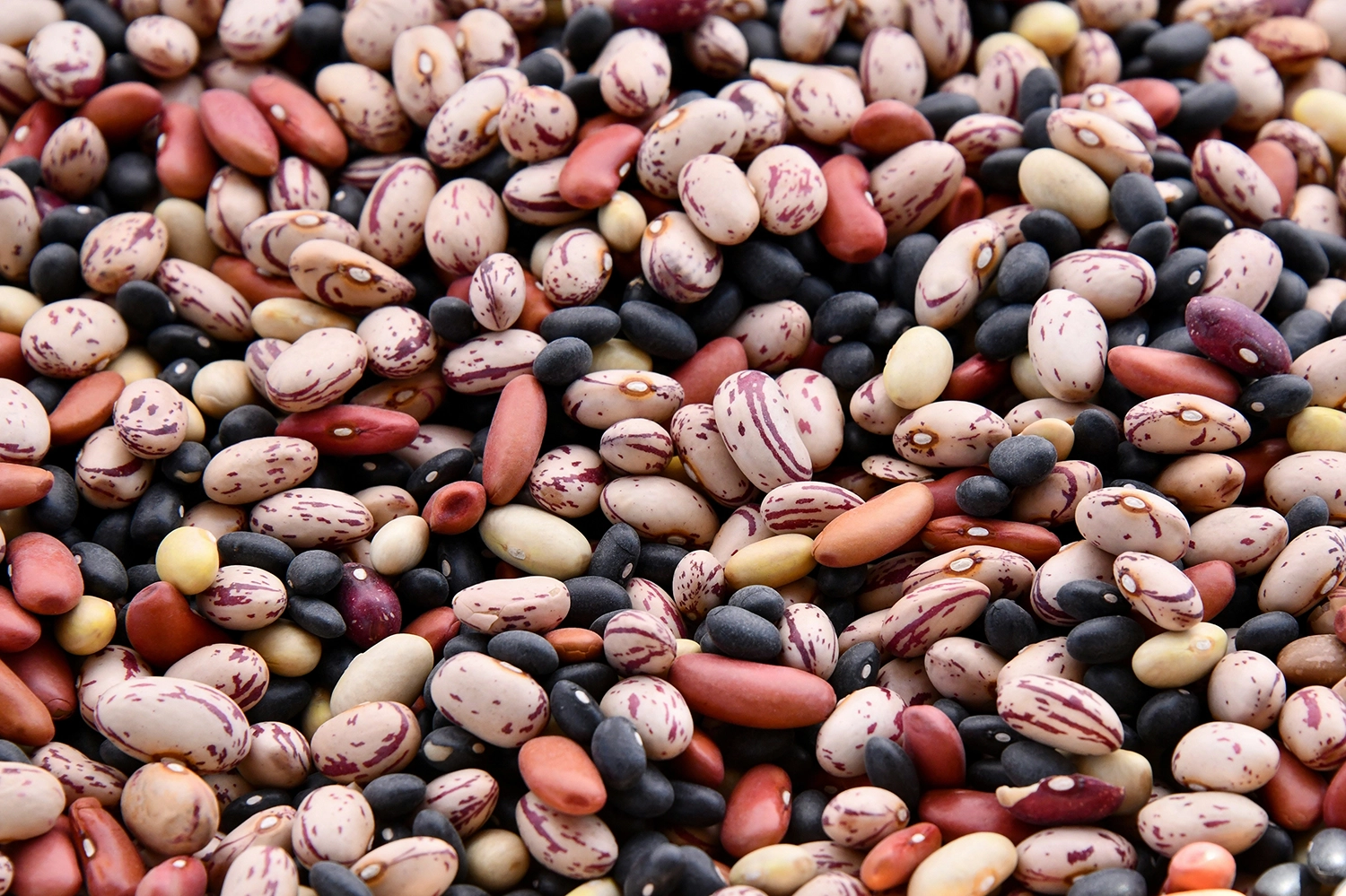 Legumes that are rich in vitamin B5 called pantothenic acid